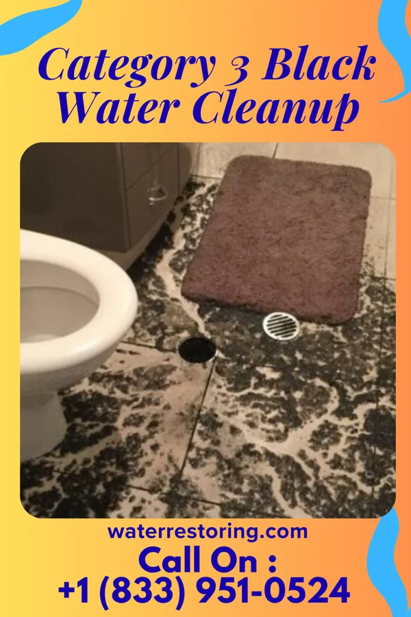 Category 3 Black Water Cleanup in Snydertown, PA