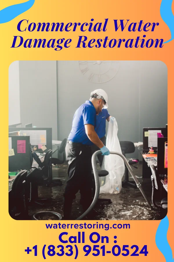 Commercial Water Damage Restoration in Snydertown, PA