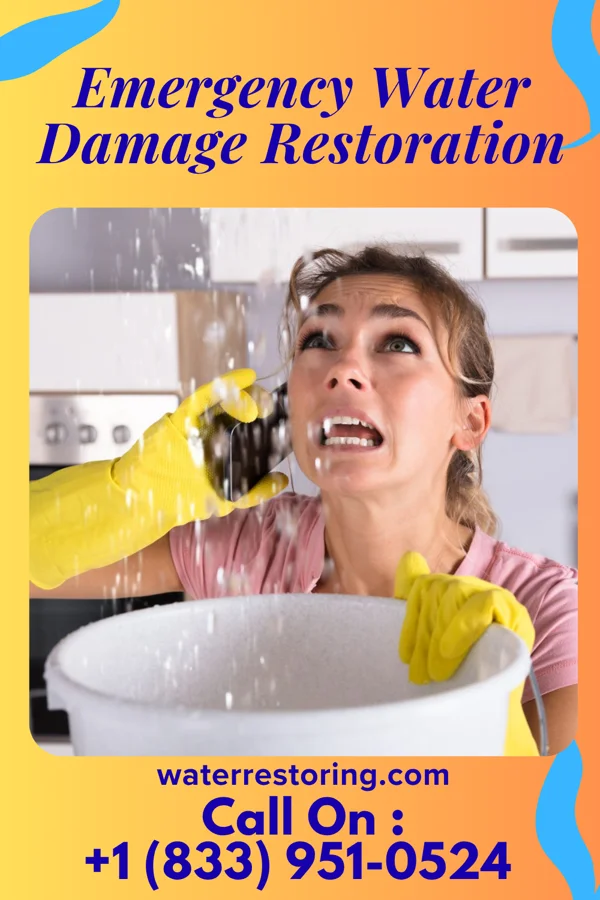 Emergency Water Damage Restoration in Snydertown, PA