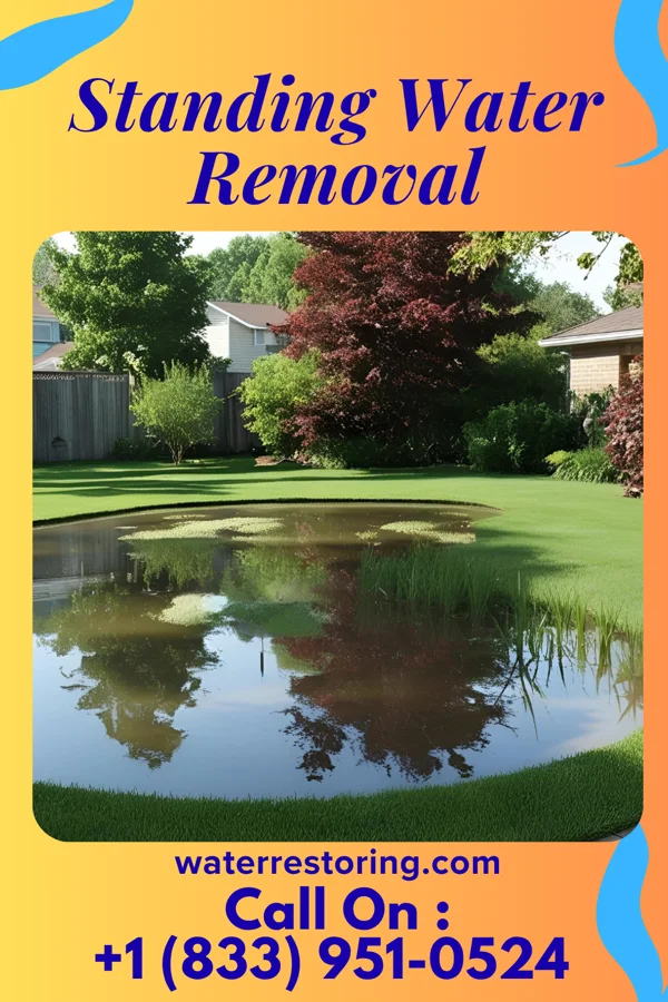 Standing Water Removal in Snydertown, PA